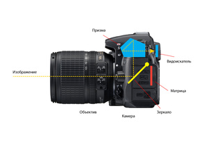 Nikon Coolpix P600 — гиперзум. Его объектив имеет 60-кратный оптический зум: это фантастическая цифра для любого другого класса камер. Фокусное расстояние объектива в 35-мм эквиваленте составляет 24-1440мм. 