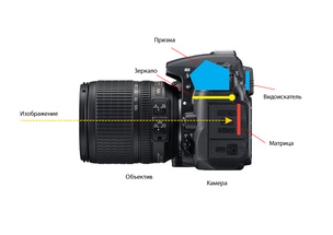 Nikon Coolpix P600 — гиперзум. Его объектив имеет 60-кратный оптический зум: это фантастическая цифра для любого другого класса камер. Фокусное расстояние объектива в 35-мм эквиваленте составляет 24-1440мм. 