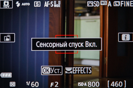 В Nikon D5500 возможен выбор точки фокусировки, а также спуск затвора простым касанием дисплея