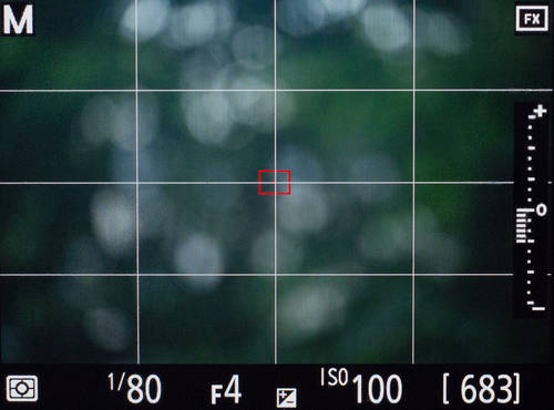 Сетка на экране фотокамеры Nikon D810