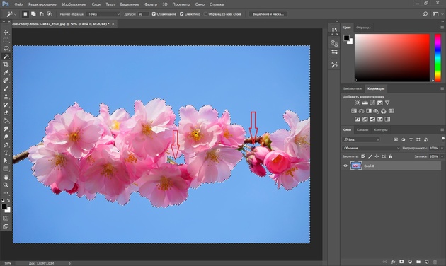 Как обработать фон в Photoshop