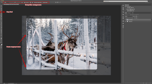 Как обрезать фото в Фотошопе