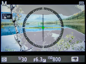 Пересвеченные участки выделены полосатой заливкой. Экран фотоаппарата Nikon D850 в режиме видеозаписи.