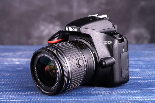 Nikon D3500: неделя с экспертом