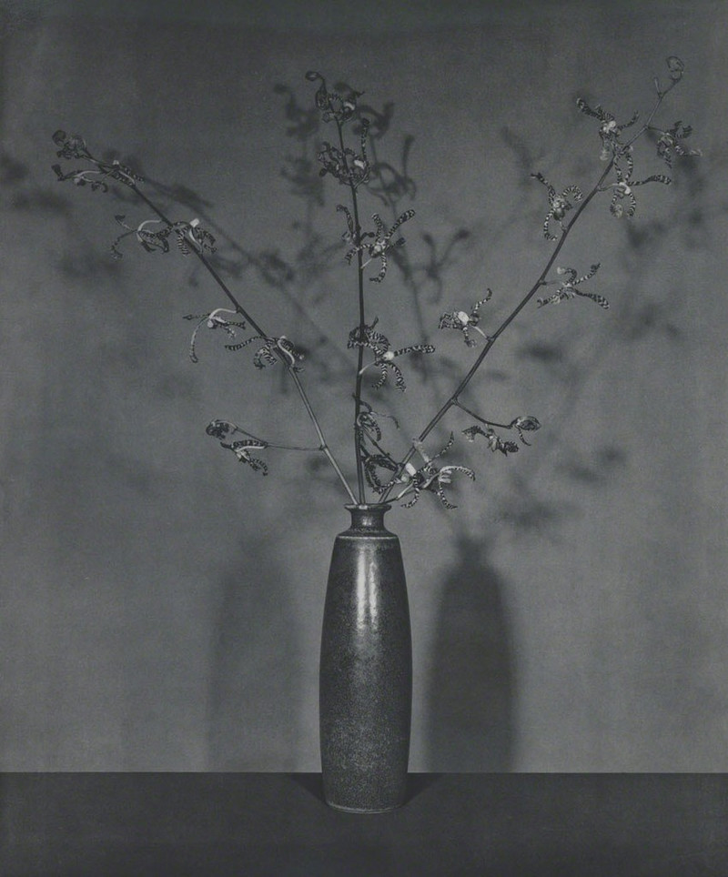 Роберт Мэпплторп Robert Mapplethorpe фотографии 3