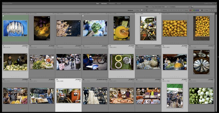 A library of photos in Lightroom catalogue