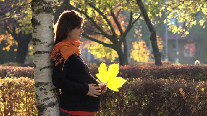 беременная фотосессия на природе осенью