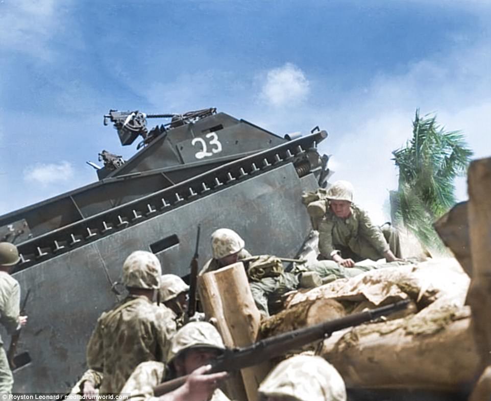 Marines alongside an LVT-1 Alligator on Tarawa. The island was one of the less heavily defended islands but was part of a tactical ploy by Japan so they could station more men at other islands in the area