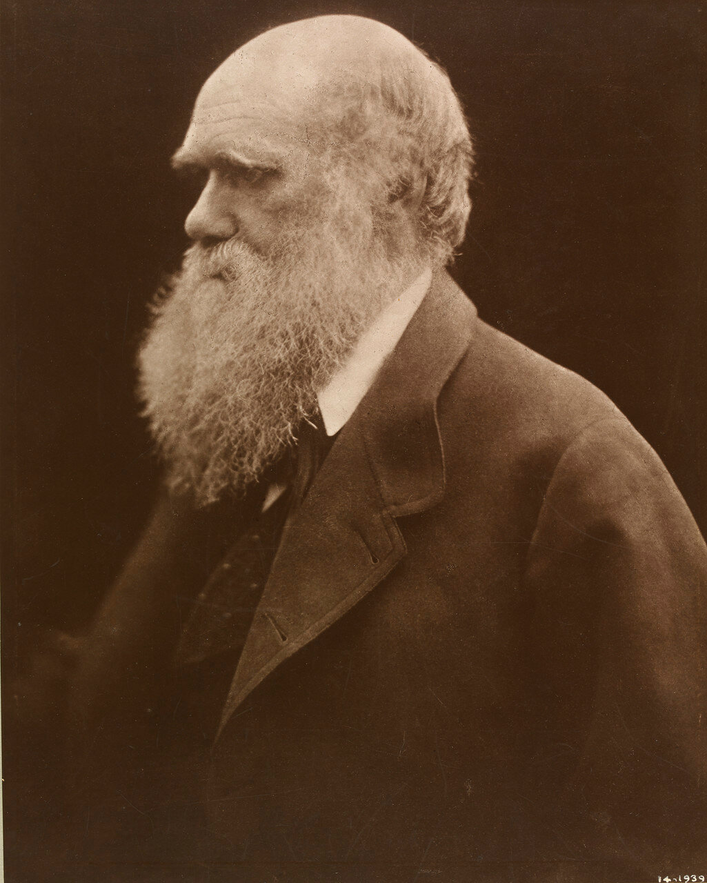 1868. Чарльз Дарвин