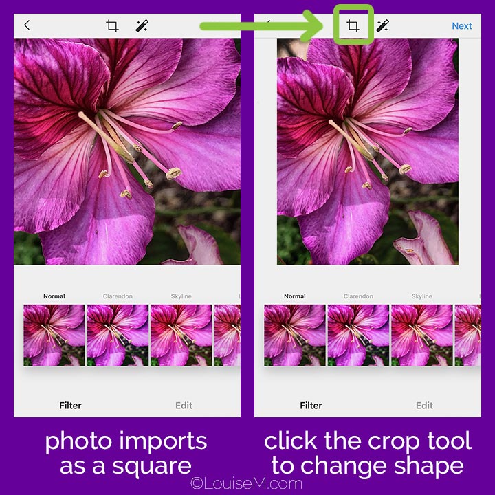 How to Choose a Portrait or Landscape Photo on Instagram version 2