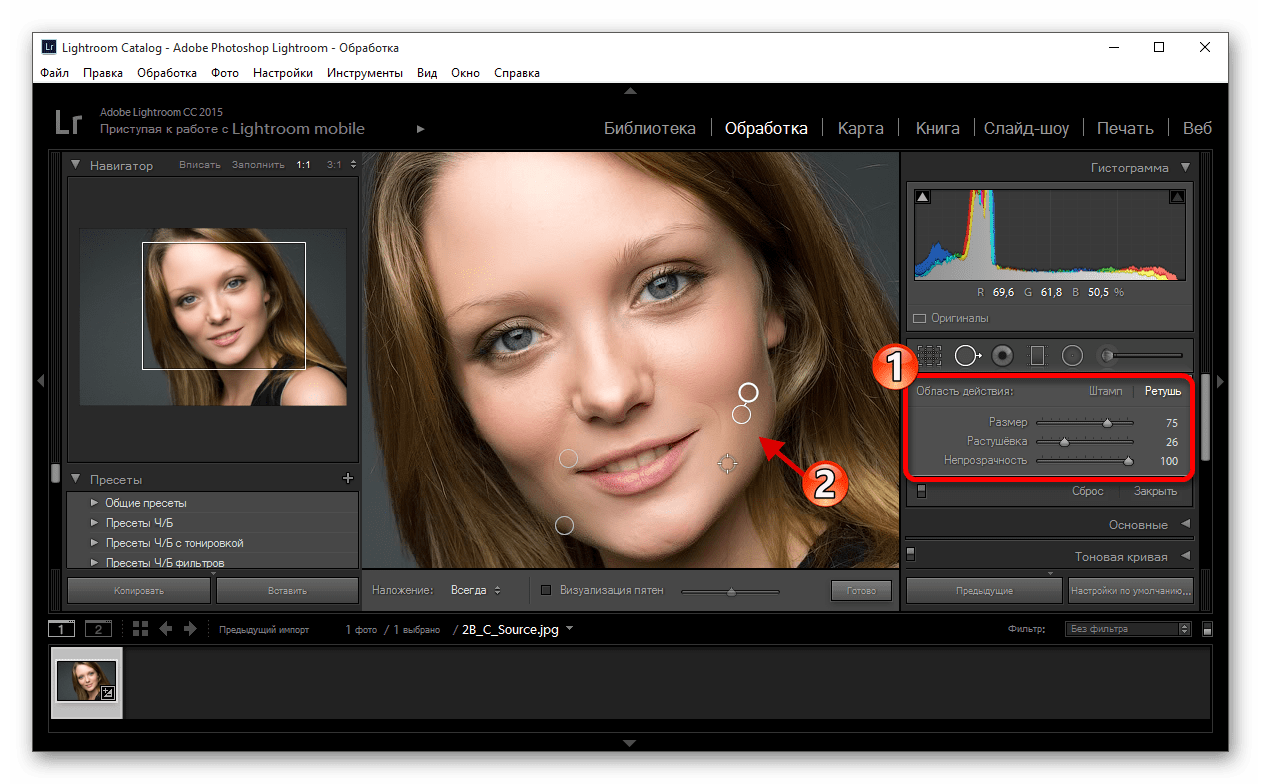 Инструмент удаления пятен в действии в программе Adobe Photoshop Lightroom