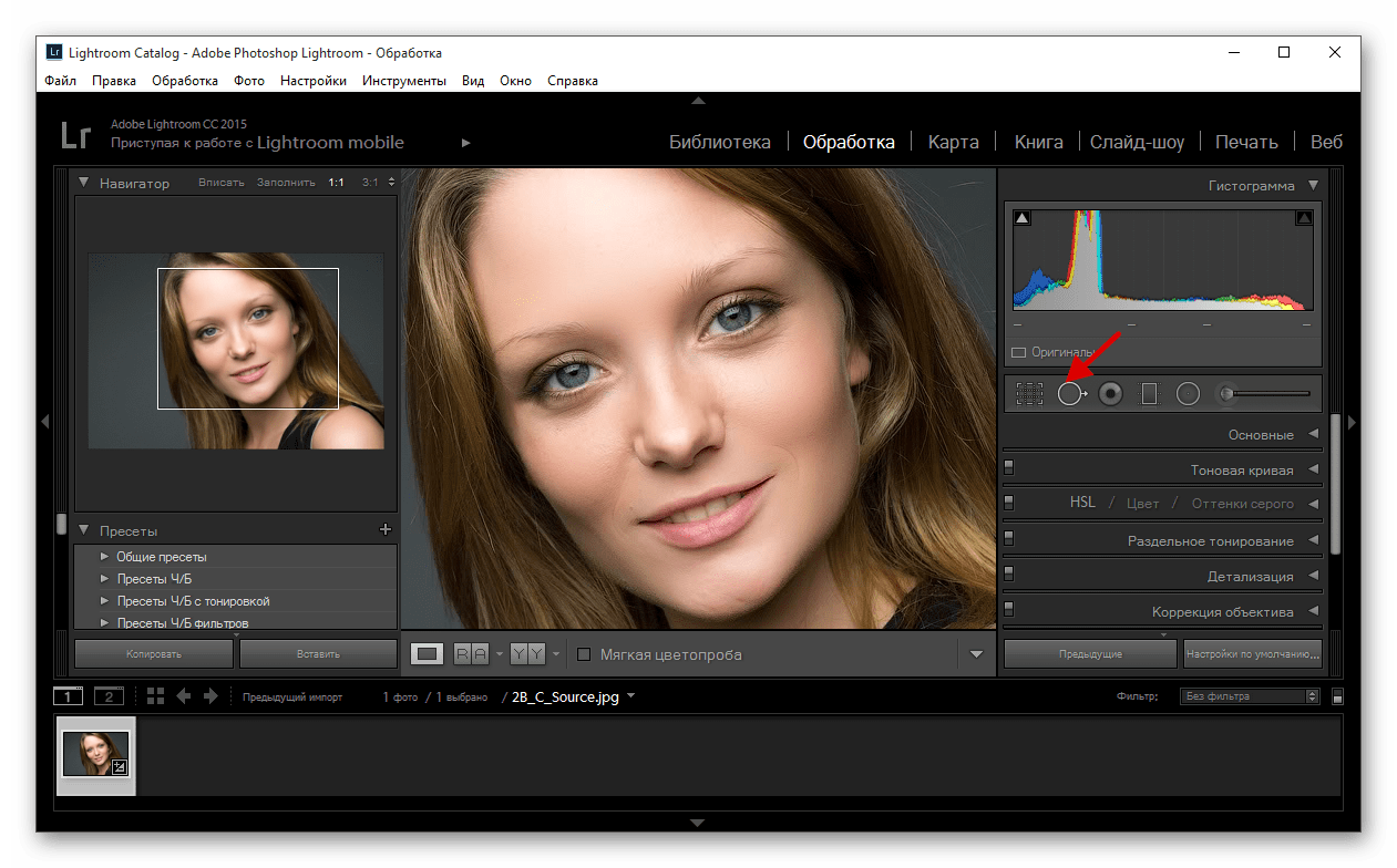 Применение инструмента удаление пятен в программе Adobe Photoshop Lightroom