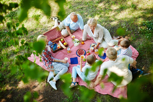 Идеи для фотосессии с детьми: семейный пикник