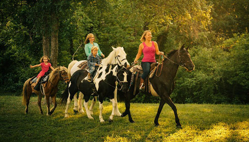 идеи семейной фотосессии летом на лошадях