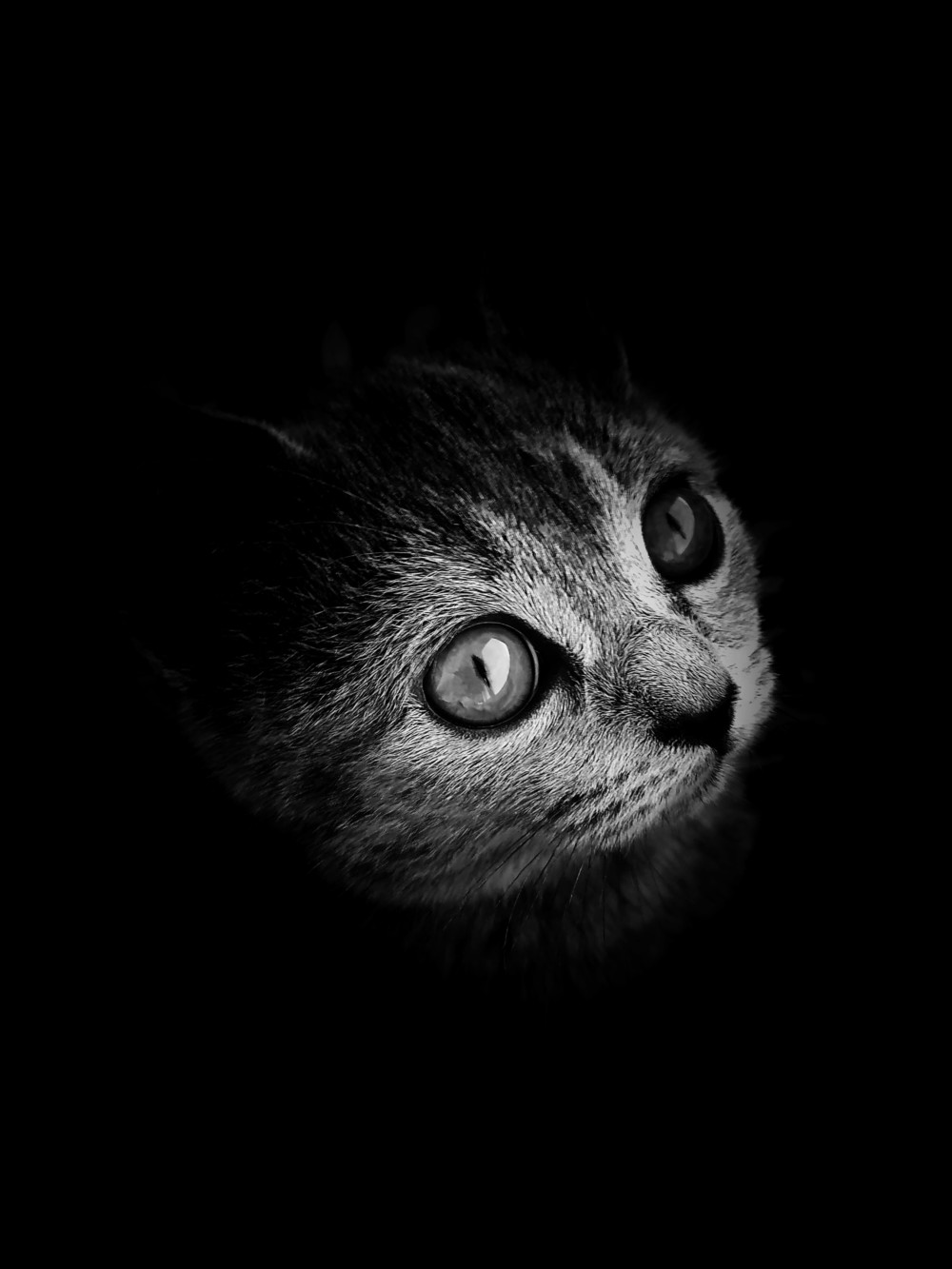 Черно-белое фото в Snapseed