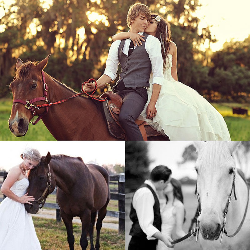 Позы для свадебной фотосессии на лошадях