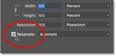 Selecting the Resample option in the Image Size dialog box in Photoshop