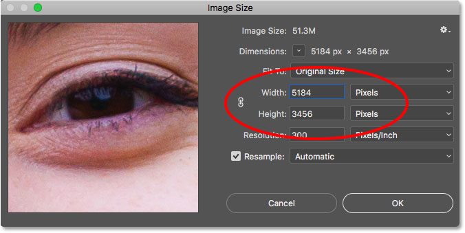 The width and height of the larger image before resizing it to match the smaller image