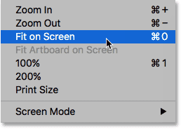 Choosing the Fit on Screen command from under the View menu. 