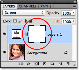 The layer mask thumbnail on the Levels adjustment layer. Image © 2012 Photoshop Essentials.com
