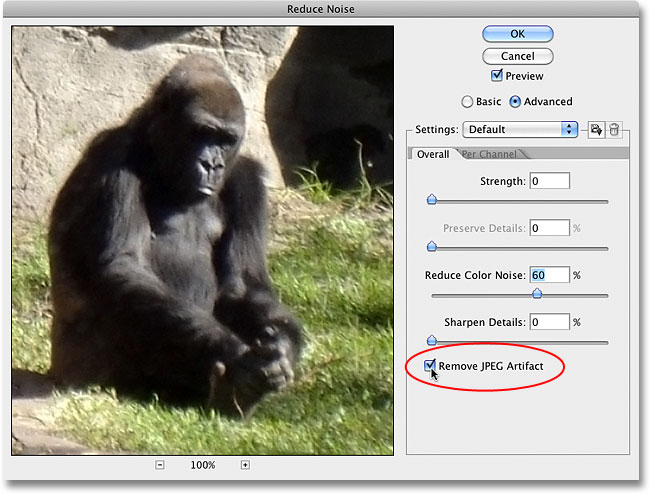 The Remove JPEG Artifact option in the Reduce Noise dialog box. Image © 2010 Photoshop Essentials.com