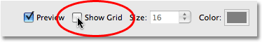 The Show Grid option in the Lens Correction dialog box in Photoshop.