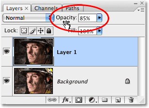 The Opacity option in the Layers palette in Photoshop.