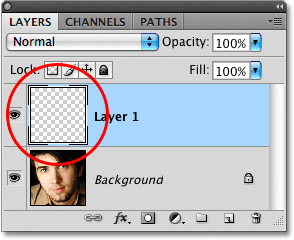 The layer preview thumbnail in the Layers palette.