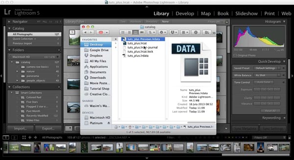 Файлы, содержащие все изменения и превью фотографий в каталоге Lightroom