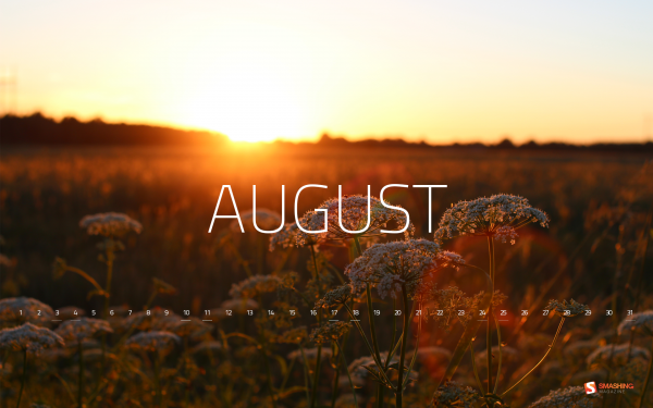 Красивые картинки про август для настроения (7)