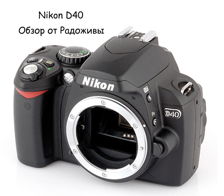 Обзор Nikon D40