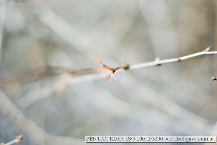 Пример фотографии на Pentax K10D