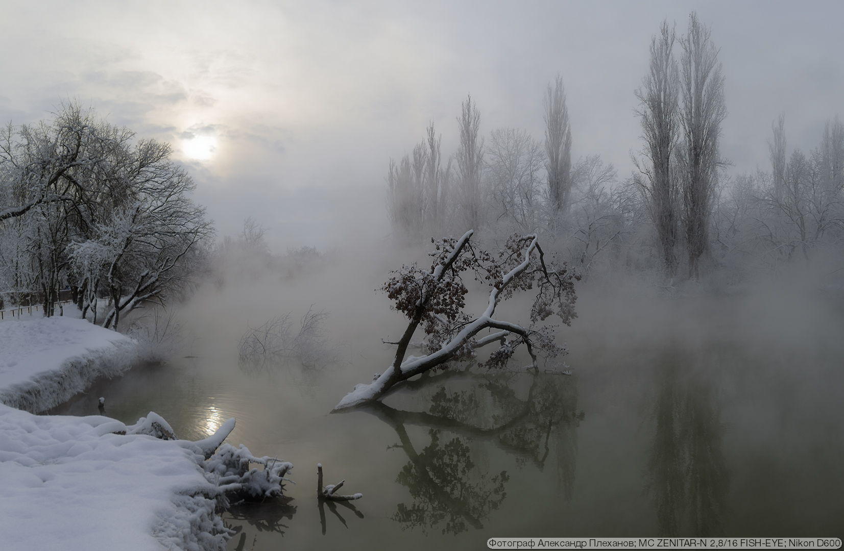 Фотография на Зенитар Н 16 2.8 и кропнутую камеру