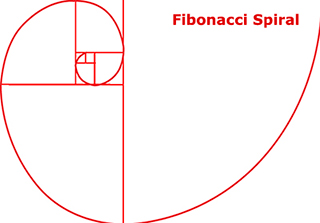 Graphic of Fibonacci Spiral for Golden Ratio photo composition by Sarah Vercoe.