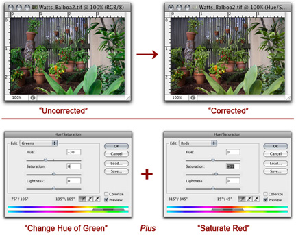 Example images and screen shots showing Hue/Saturation color corrections made in Photoshop by John Watts.