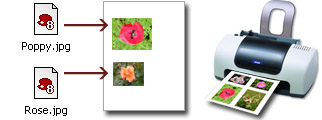 Photo Print Pilot - software for printing photos