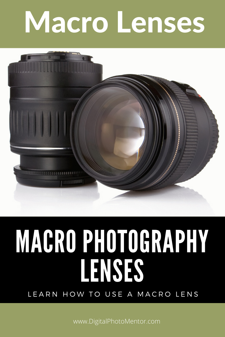 Learn how to use macro photography lenses.  Recommendations on macro lens selection, and tips for how to use macro lenses.