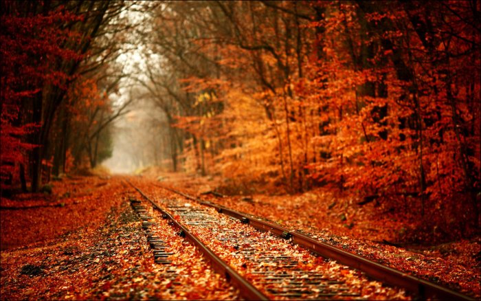 Осенние пейзажи (50 фото)