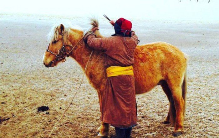 Снимки из Монголии (48 фото)
